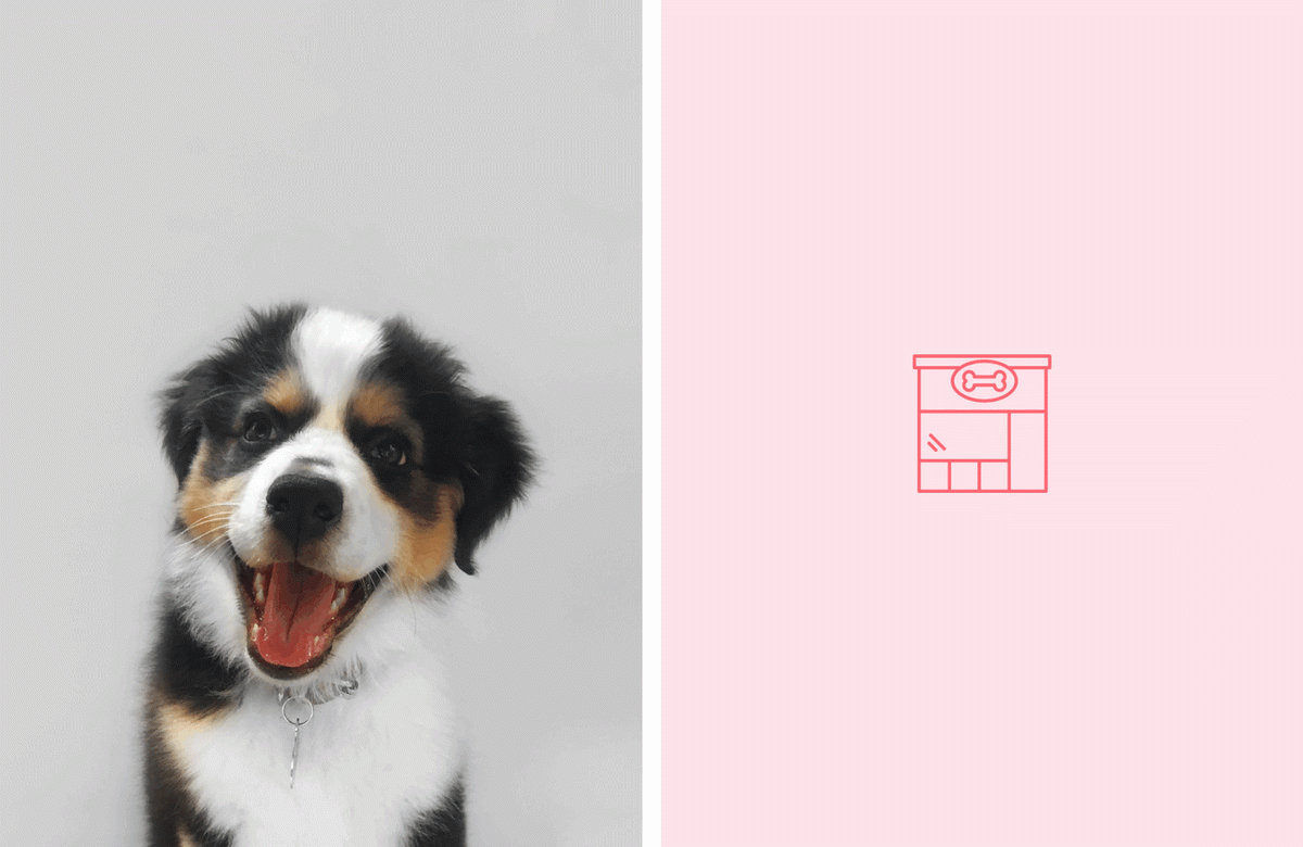 Pooch Made零售商品牌形象  輔助圖形展示