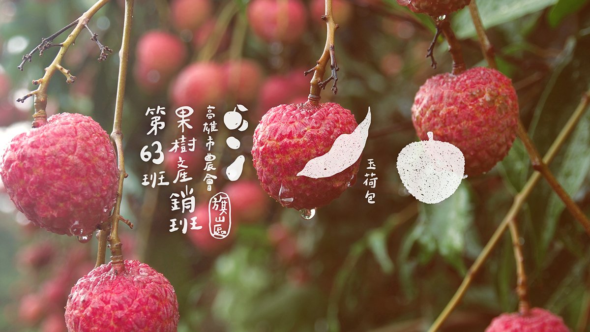 深圳品牌設(shè)計(jì)  深圳品牌策劃  高雄市農(nóng)會(huì)果樹(shù)產(chǎn)銷班第63班品牌形象設(shè)計(jì)  標(biāo)志設(shè)計(jì)