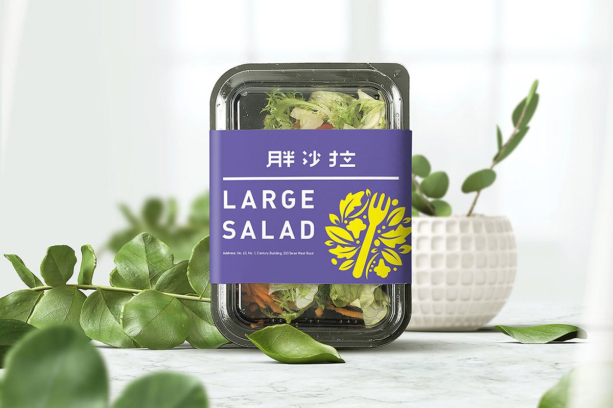 深圳品牌設計  深圳品牌策劃  胖沙拉輕食品牌形象設計  包裝設計