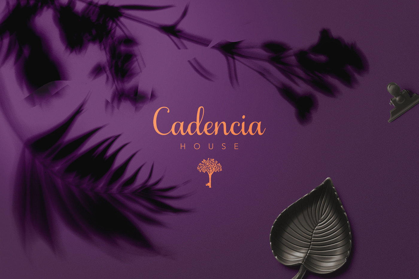 Cadencia時尚服裝品牌設(shè)計(jì)案例和品牌營銷，服裝品牌形象設(shè)計(jì)，品牌營銷，深圳品牌設(shè)計(jì)，左右格局