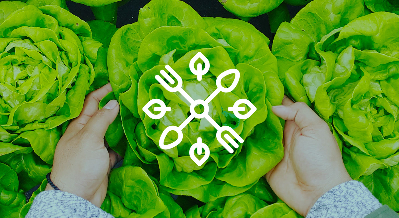 Grassroots 優(yōu)質(zhì)食品企業(yè)品牌形象設(shè)計，食品品牌設(shè)計，食品品牌策劃，深圳品牌設(shè)計，左右格局