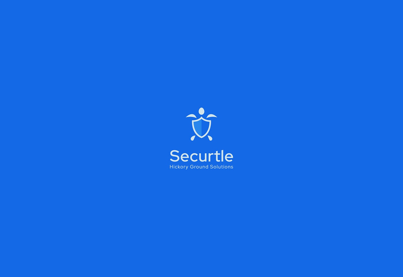 Securtle 網(wǎng)絡(luò)金融咨詢企業(yè)品牌視覺設(shè)計(jì)，金融品牌設(shè)計(jì)，品牌形象設(shè)計(jì)，品牌設(shè)計(jì)公司，左右格局