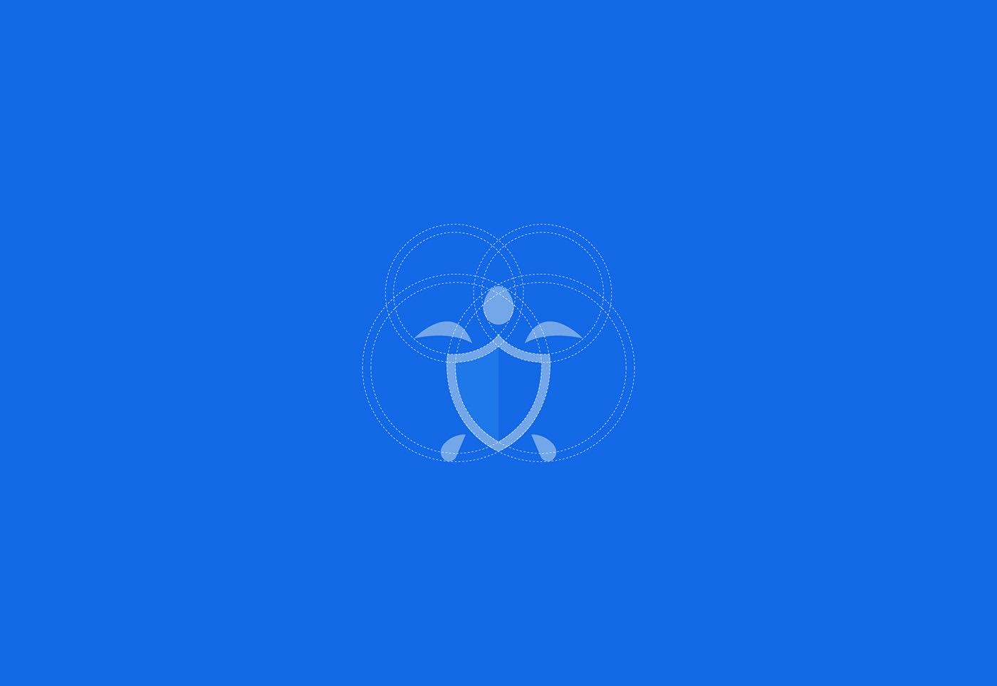 Securtle 網(wǎng)絡(luò)金融咨詢企業(yè)品牌視覺設(shè)計(jì)，金融品牌設(shè)計(jì)，品牌形象設(shè)計(jì)，品牌設(shè)計(jì)公司，左右格局