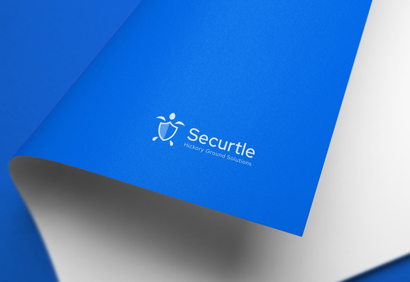 Securtle 網(wǎng)絡(luò)金融咨詢企業(yè)品牌視覺設(shè)計(jì)，金融品牌設(shè)計(jì)，品牌形象設(shè)計(jì)，品牌設(shè)計(jì)公司，左右格局